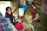 inde056h.jpg