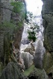 chine04_150v.jpg