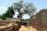 mali_168h.jpg