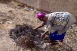 mali_176h.jpg