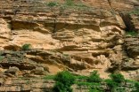 mali_262h.jpg