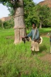 mali_276v.jpg