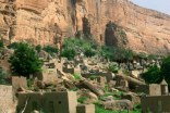 mali_288h.jpg