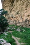 mali_309v.jpg