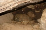 mali_316h.jpg