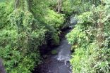 indonesie_A_07_2006_391h.jpg