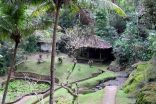indonesie_A_07_2006_405h.jpg