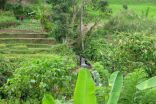 indonesie_A_07_2006_411h.jpg