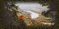 vignette_