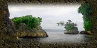 vignette_